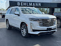2022 Cadillac Escalade Premium Luxury Platinum